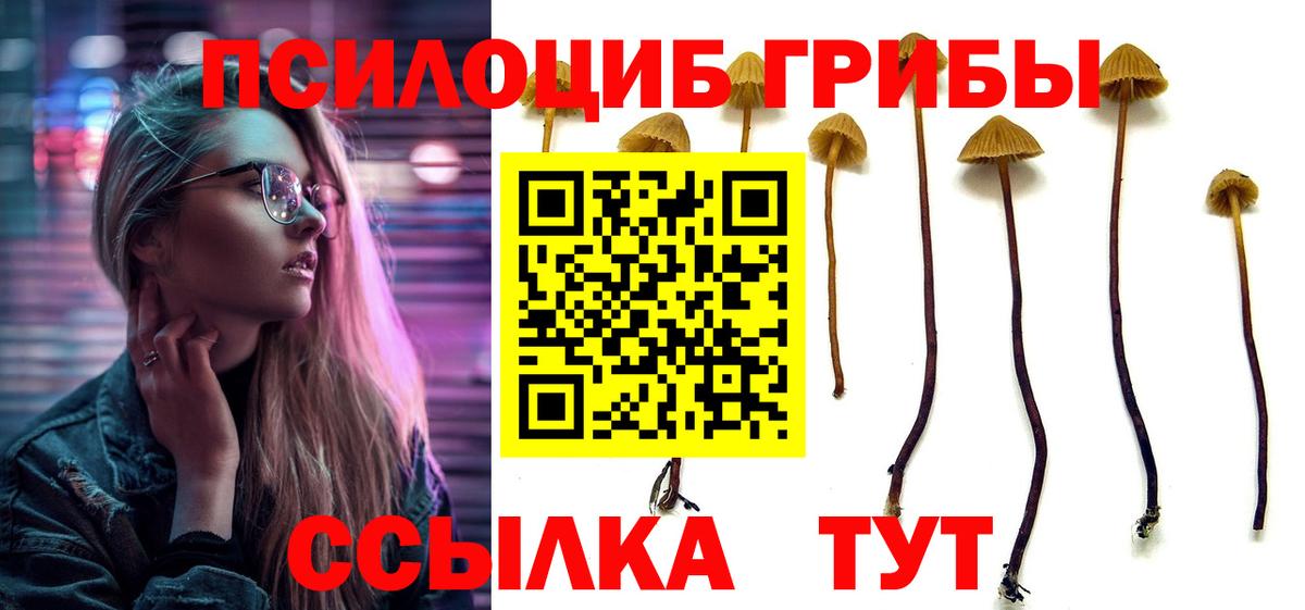 Галлюциногенные грибы MAGIC MUSHROOMS  где купить наркоту  Галлюциногенные грибы прущие грибы  Елабуга  Вход с VPN 