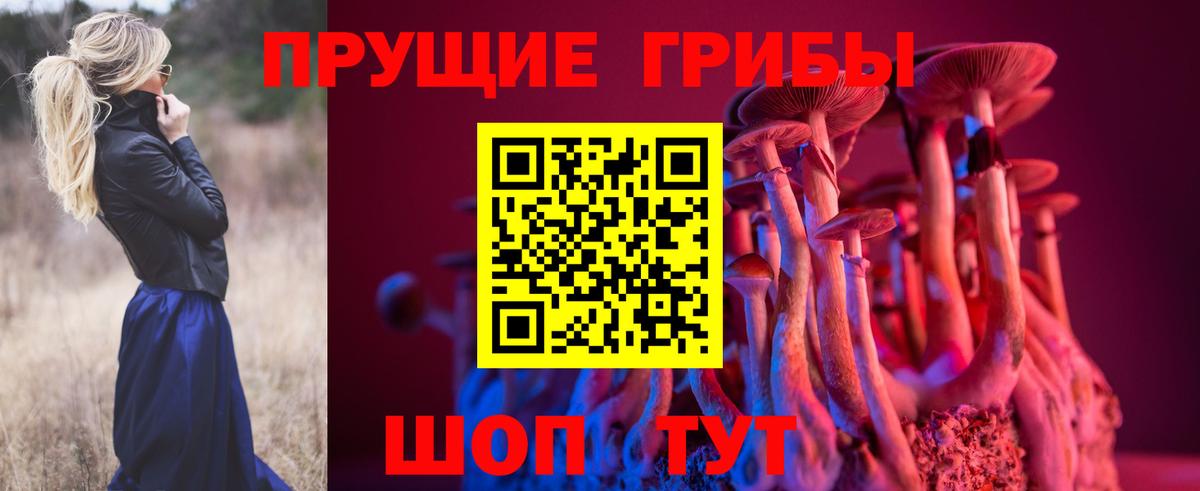 Псилоцибиновые грибы MAGIC MUSHROOMS Елабуга
